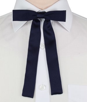 Swagger & Swoon Navy Blue Kentucky Colonel Bow Tie