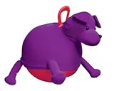 Dandy Dog Hopper Ball - Purple