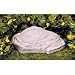 Zoo Med Repticare Rock Heater