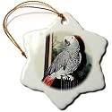 Birds - African Grey Parrot - Ornaments