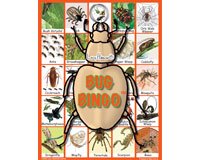 Bug Bingo