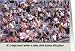 Sales Clerk Farewell Goodbye - Crowd Card