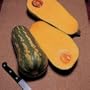 Thompson & Morgan 'Barbara' Winter Butternut Squash SEEDS
