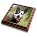 Australian Cattle Dog - 8x8 Trivet With 6x6 Ceramic Tile