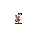 Cathe Friedrich's Rhythmic Step + Interval Max & MIC DVD