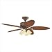 Hunter 28078 Markham Fan - Distressed Relic Traditional Ceiling Fan 52" Blade Span