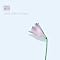 peaceful music for tender souls