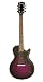Single Cutaway Electric Purple Burst, 1 p/u, 1 V, 1 T, amp, cord, strings, strap, picks, DVD