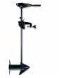 Minn Kota Endura 30 Freshwater Transom - Mount Trolling Motor - 12v-30lb-30"