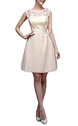 Chiffon  Lace Applique Beaded Cocktail Knee Length Short Bandage Dress/Evening Dress/Bridesmaid Dress/Prom Dress/Wedding Party Dress  With Pearls