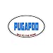 PUGAPOO - Bad to the Bone - Dog Breed Euro - Window Bumper Sticker