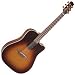 Musical Instruments : Takamine EAN10C-TBS (Standard)