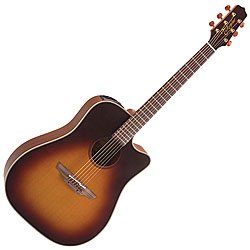 Childrens Toyshop  Musical Instruments : Takamine EAN10C-TBS (Standard)
