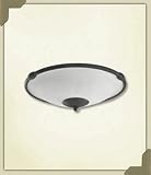 Quorum 1191-844 Two Light Kit, Toasted Sienna Finish Quorum 1191-844 Two Light Kit, Toasted Sienna Finish