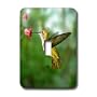 Birds - Hummingbird - Light Switch Covers - single toggle switch