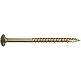 The Hillman Group 47871 5/16-Inch x 4-Inch Star Drive Construction Lag Screw, 20-Pack