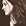 Jill Phillips