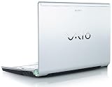 Samsung N110-12PBK 10.1-Inch Black Netbook - 6 Cell Battery (9.5 Hours)