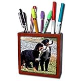 Dogs Bernese Mountain Dog - Bernese Mountain Dog - Tile Pen Holders-5 inch tile pen holder