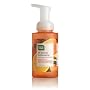 Cleanwell All Natural Anti Bacterial Foaming Hand Soap, Orange Vanilla, 9.5-Ounce Bottle (Pack of 4)