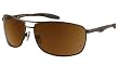 GARGOYLES INTERVAL Sunglasses- All Colors