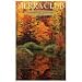 Sierra Club 2010 Engagement Calendar (Calendar)