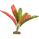 PETCO Silk Echindorus Midground Aquarium Plant