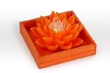 Jolipa - Boite De Bougie Nenuphare Orange 11X12X6Cm