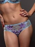 Sheer low-rise brief panties