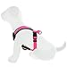 Pawtitas Reflective Dog Harness - Padded, Comfort Control for Walks or Running - Medium Pink