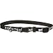 Harley-Davidson 3/8" Reflective Bad to the Bone Adjustable Collar, 3/8" Width, Color:Black