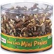 Safari 340322 Mini Ponies Good Luck Minis