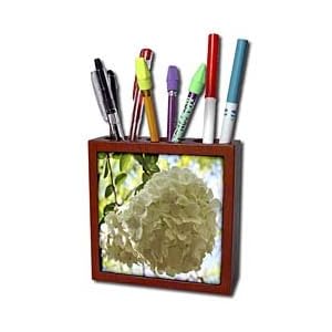 WhiteOak Photography Floral Prints - Tiny white flowers formed into a ball - Tile Pen Holders-5 inch tile pen holder