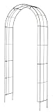 Eigenschaften Takasho Europe GmbH 12811 / Takasho 12811 Rosenbogen Bea, grün