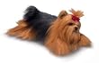 YORKSHIRE TERRIER YOMIKO CLASSIC PLUSH TOY 17"