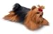 YORKSHIRE TERRIER YOMIKO CLASSIC PLUSH TOY 17"