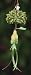 Krinkles 12 Days of Christmas Partridge in a Pear Tree Ornament