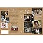 PhotoVision Wedding Techniques Volume 2, 5-Tutorial DVD's, with Michele Celentano, Sara Francis, Julia Woods Robert Isacson, Parker Pfister, Ken Sklute, & Ed Pierce.