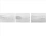 Robert Adams: Light Balances / On Any Given Day in Spring