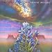 Egbert Meyers-Bluebonnet Blues
