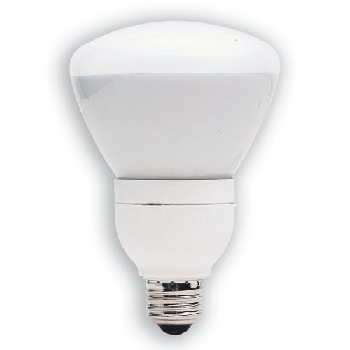 GE 47478 15 Watt (65 Watt equivalent) Energy Smart Floodlight 6 Year Life R30 Light Bulb 3 Count