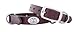 ZEP-PRO Auburn Tigers Brown Leather Concho Dog Collar, Small