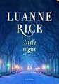 Little Night (Large Print)