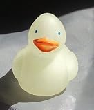 Mini Glow in the Dark Rubber Duckies (24)