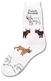French Bulldog Poses Socks