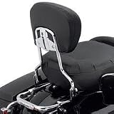 Detachable Passenger Sissy Bar Upright - Tall