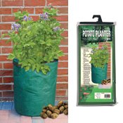 POTATO PLANTER