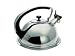 Serafinozani Geyser Whistling Kettle