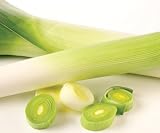 American Flag Leek 200 Seeds