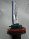 Standard 10000K H11 Xenon HID Xenon Replacement Light Bulbs 6 Mo Warr